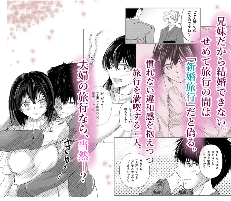 続 わたしたちおかしいんだよ お兄ちゃん  ―兄妹で、夫婦のように― サンプル画像 3