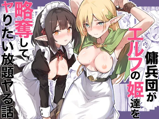 傭兵団がエルフの姫達を略奪してヤりたい放題ヤる話