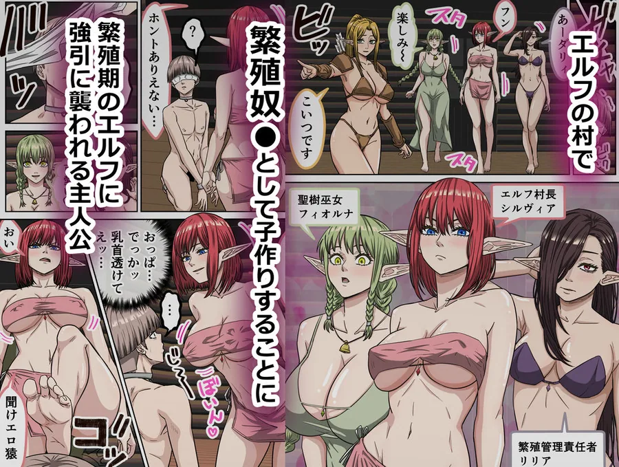 エルフ村で繁殖奴●になりました サンプル画像 3