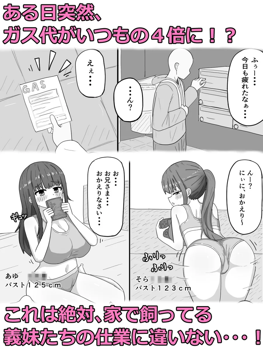家で飼ってる引きこもり巨乳義妹×2と勢いで孕ませエッチした サンプル画像 2