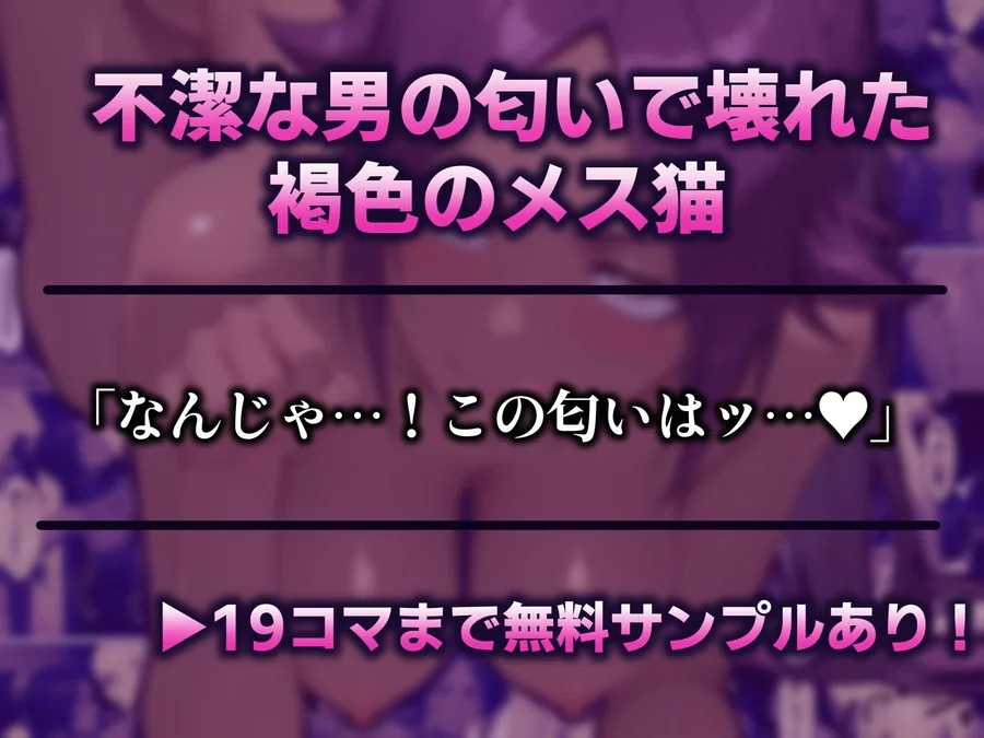 夜一さんが僕の霊圧で発情するなんて聞いてません！！ サンプル画像 2