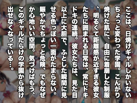 今日も日焼けギャルの距離感バグってます！PART5 サンプル画像 2