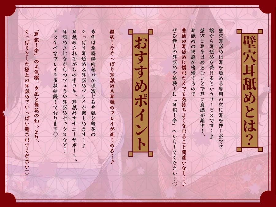 豪華4大特典付き【全編ぐっぽり極深耳奥舐め】壁穴耳舐め専門「耳犯し亭」へようこそ2〜耳奥舐めに特化したドスケベ耳舐め嬢×2による極上耳奥舐め性感サービス〜 サンプル画像 3